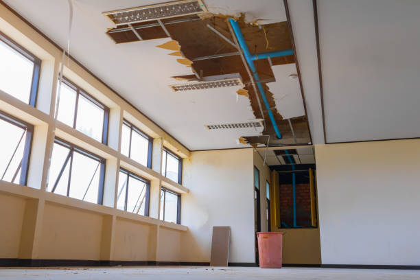 Best Residential water damage restoration  in Erwin, NC