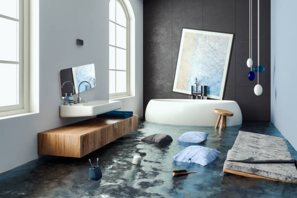 Best Ceiling water damage repair  in Erwin, NC