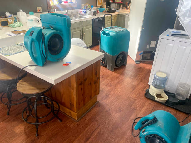 Best 24-hour water damage restoration  in Erwin, NC