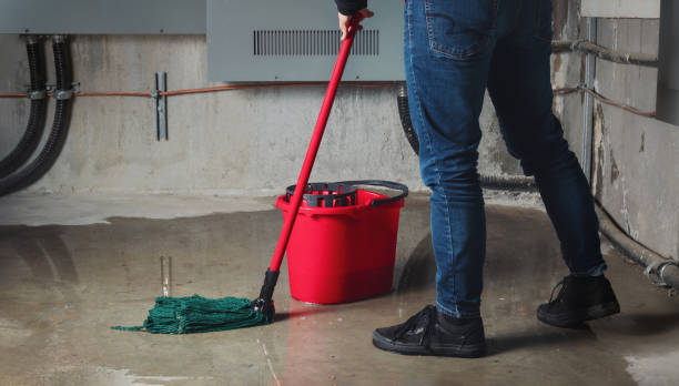 Best Basement water damage restoration  in Erwin, NC