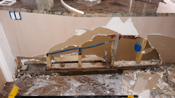 Best Fire Damage Restoration  in Erwin, NC