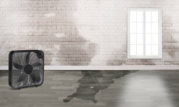 Best Fire Damage Restoration  in Erwin, NC