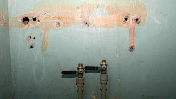 Best Carpet water damage restoration  in Erwin, NC