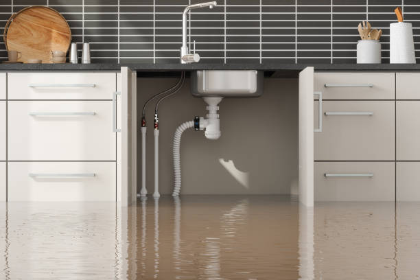 Best Professional water damage repair  in Erwin, NC