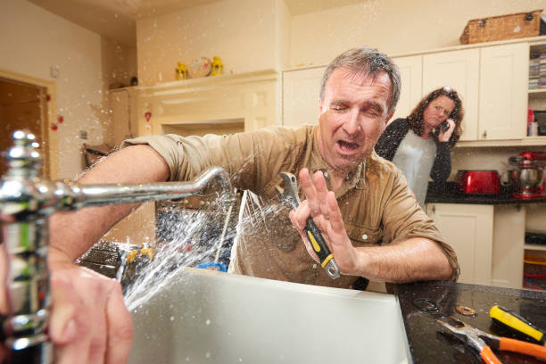 Best Local water damage restoration  in Erwin, NC